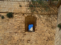 Previous